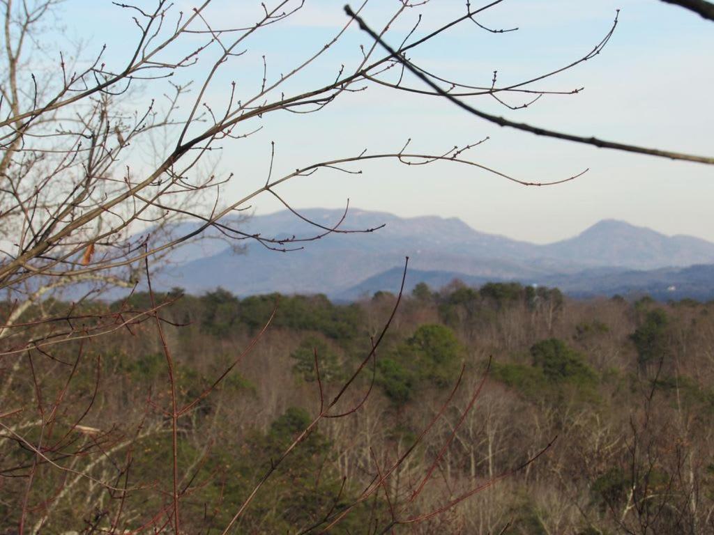 View! Cozy, Private, Fireplace, Hot Tub Log Cabin, Honeymoon! Sevierville Zewnętrze zdjęcie