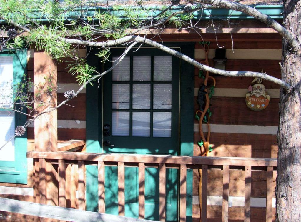 View! Cozy, Private, Fireplace, Hot Tub Log Cabin, Honeymoon! Sevierville Zewnętrze zdjęcie
